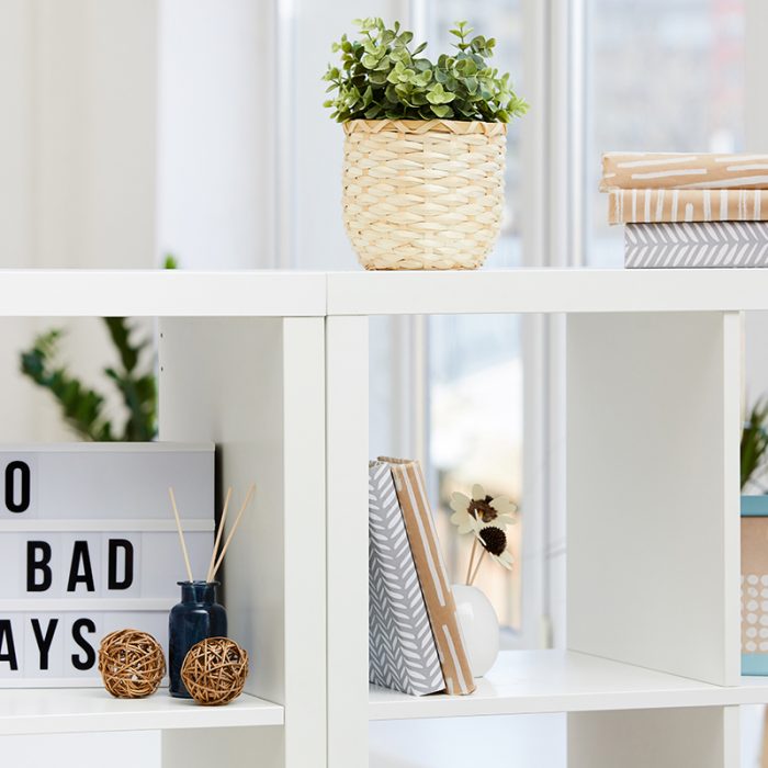 Close-up of bookshelves with books and flowers in domestic room